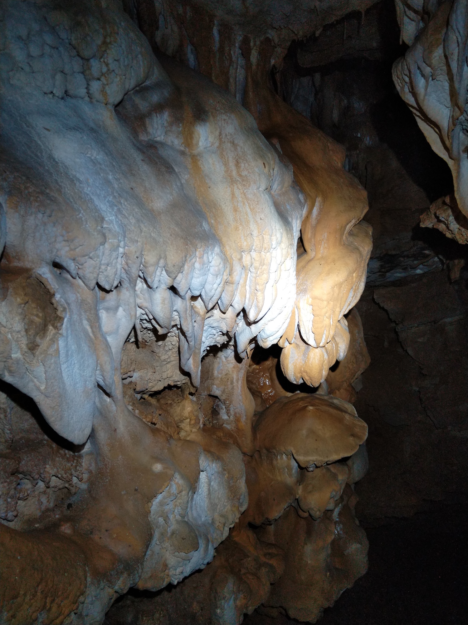 Peștera Nr.8 din Valea Toplița (Avenul Salamandrei) - Image 11